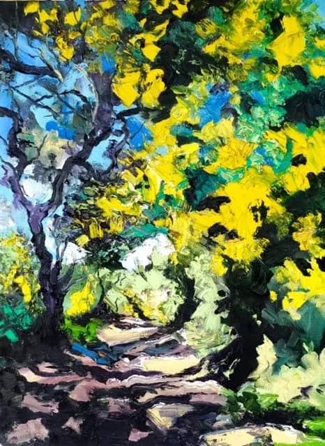 Mimosas au Rayol — Denis Ribas