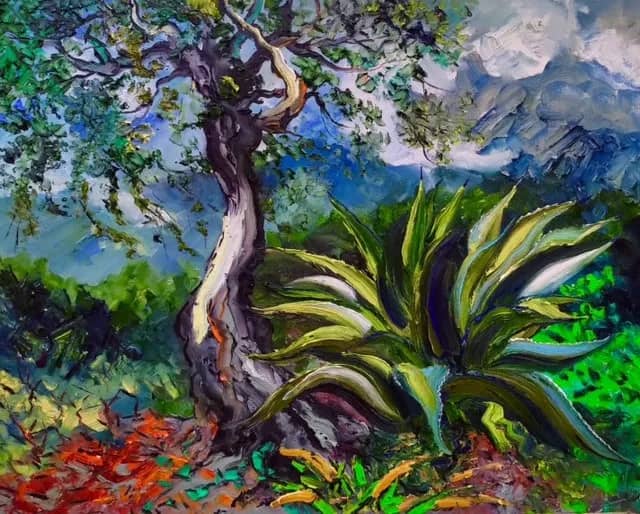 Olivier et agave chez Gina — Denis Ribas