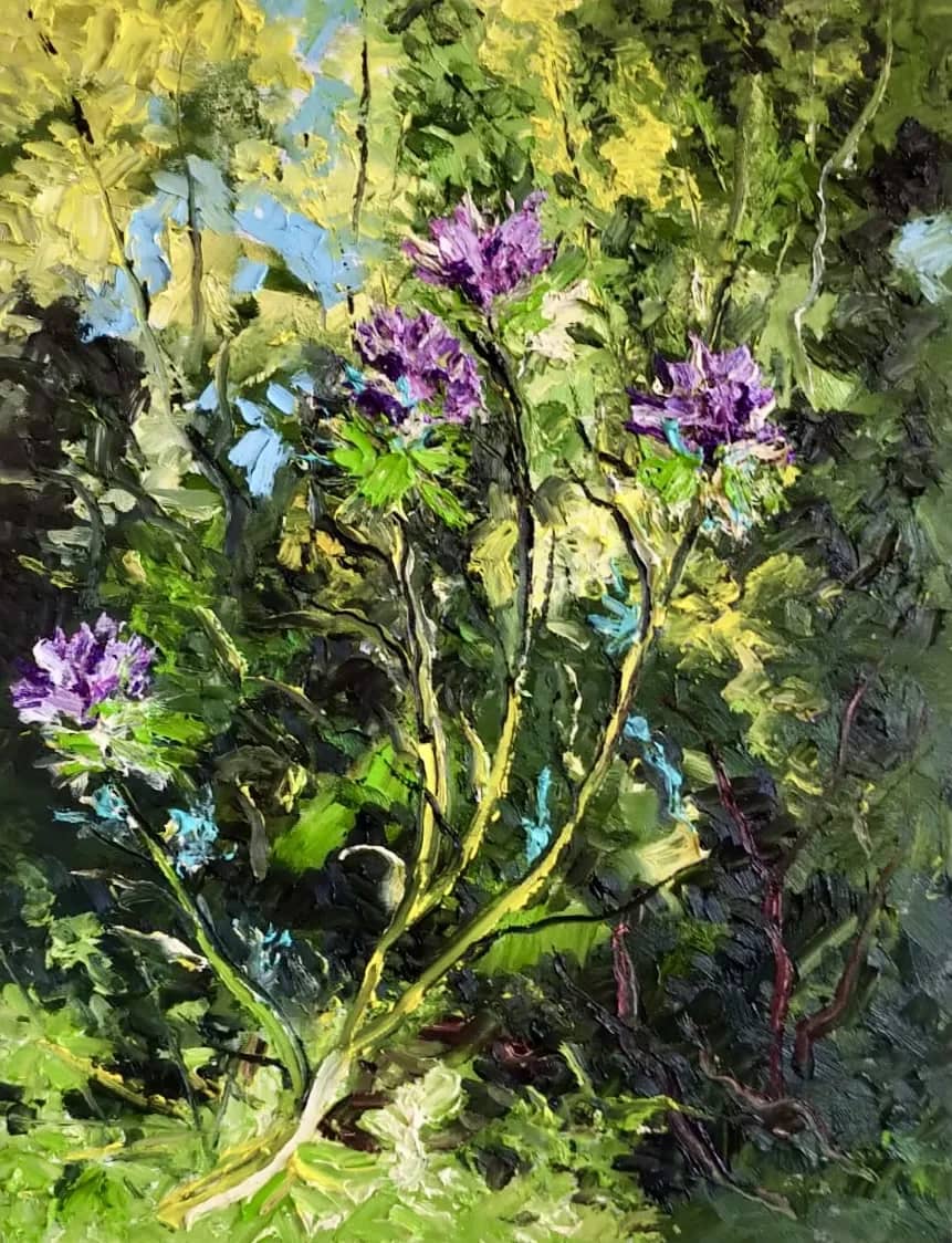 Le jardin sauvage — Denis Ribas