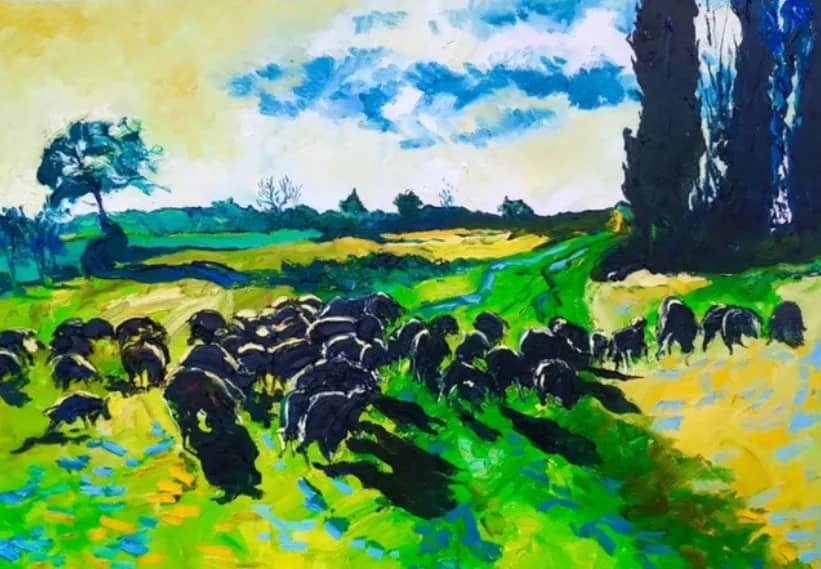 Champ de moutons en Provence — Denis Ribas