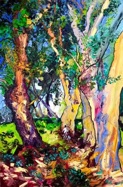 Eucalyptus de la Madone — Denis Ribas