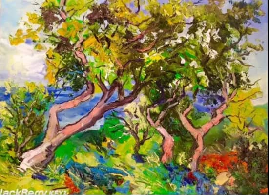 Chênes lièges au Canadel — Denis Ribas