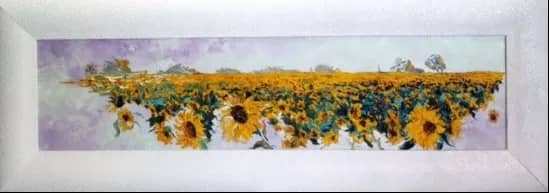 Tournesols — Denis Ribas