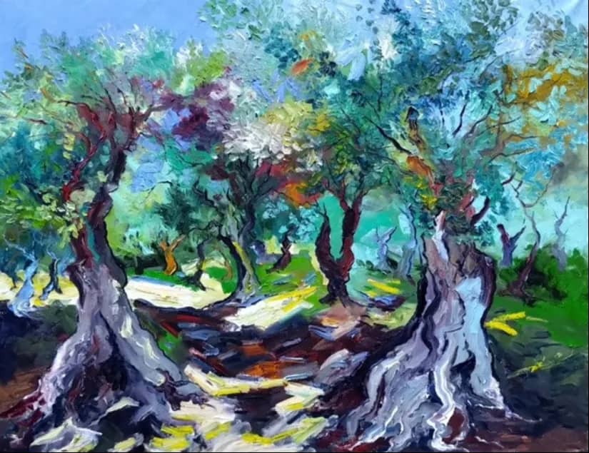 Les oliviers — Denis Ribas