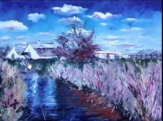 Roseaux Camargue — Denis Ribas