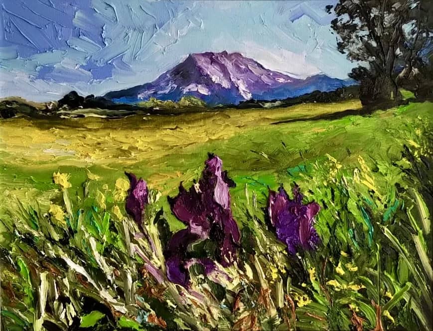 Iris de montagne — Denis Ribas