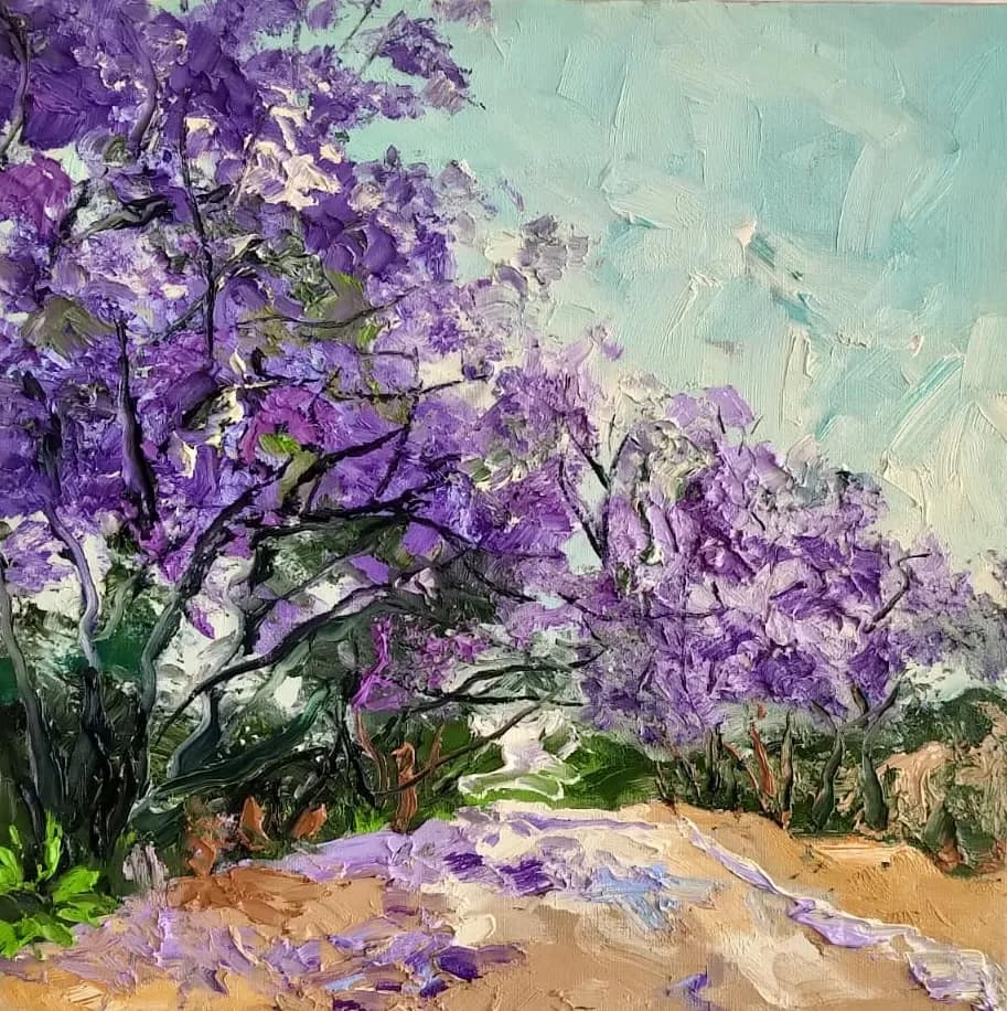 Jacaranda