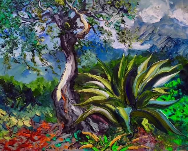 Olivier et agave chez Gina — Denis Ribas