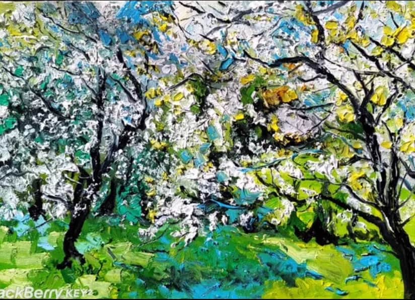 Cerisiers en fleurs — Denis Ribas