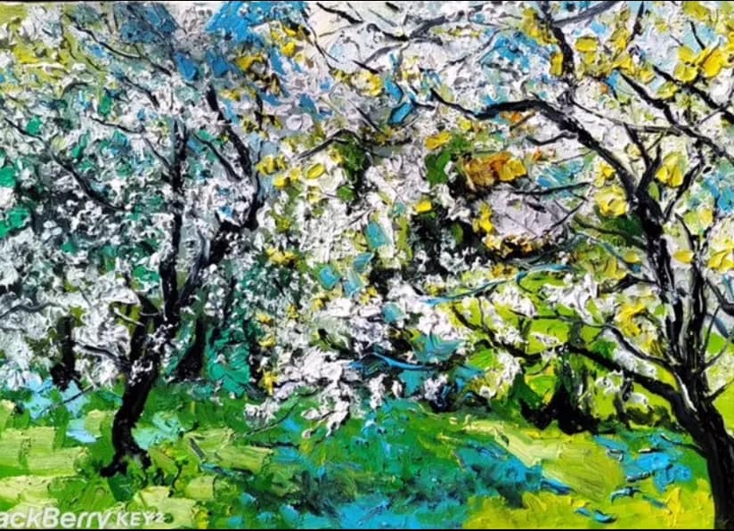 Cerisiers en fleurs