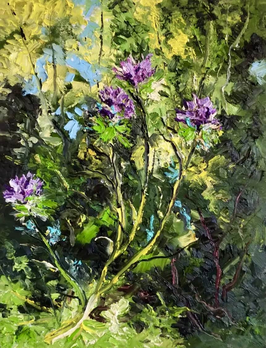 Le jardin sauvage — Denis Ribas