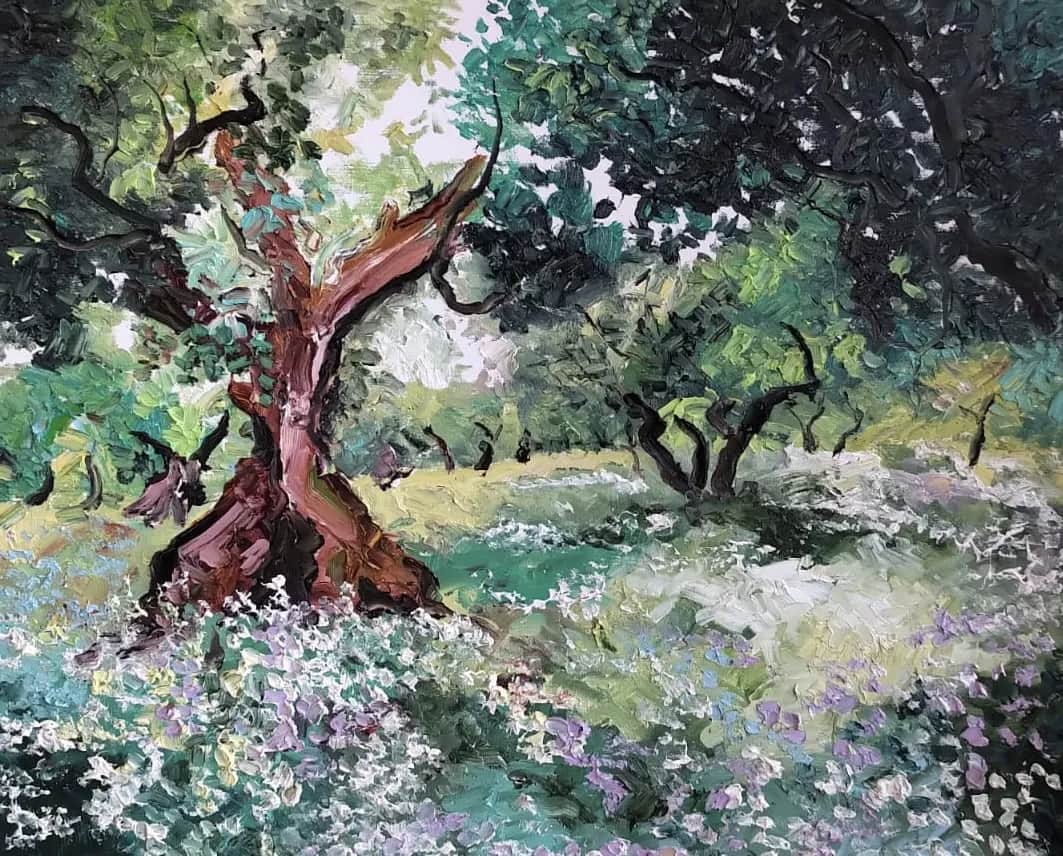 Printemps sous les oliviers — Denis Ribas