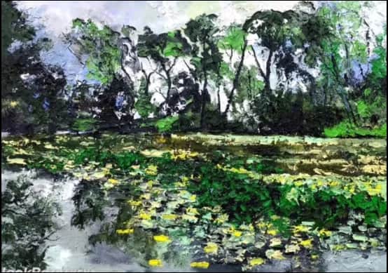 Le lac de Solliès — Denis Ribas
