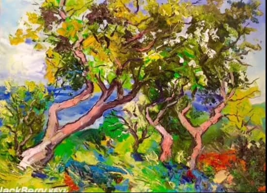 Chênes lièges au Canadel — Denis Ribas