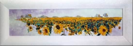 Tournesols — Denis Ribas