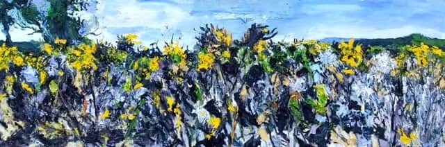 Champ de tournesols séchés — Denis Ribas