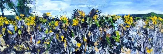 Champ de tournesols séchés