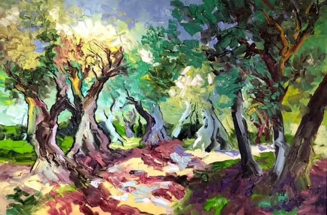 Oliviers du Cap — Denis Ribas