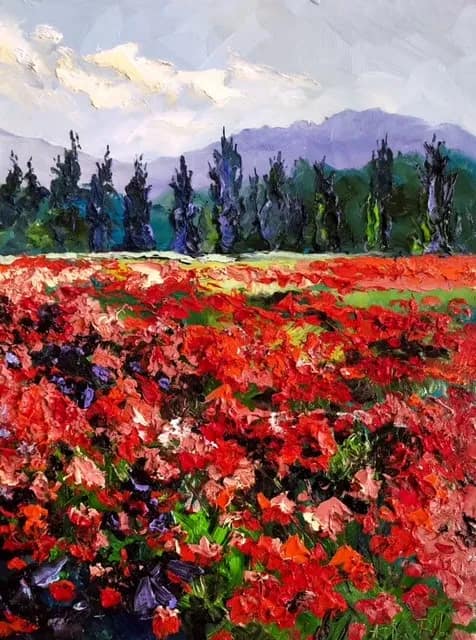 Coquelicots