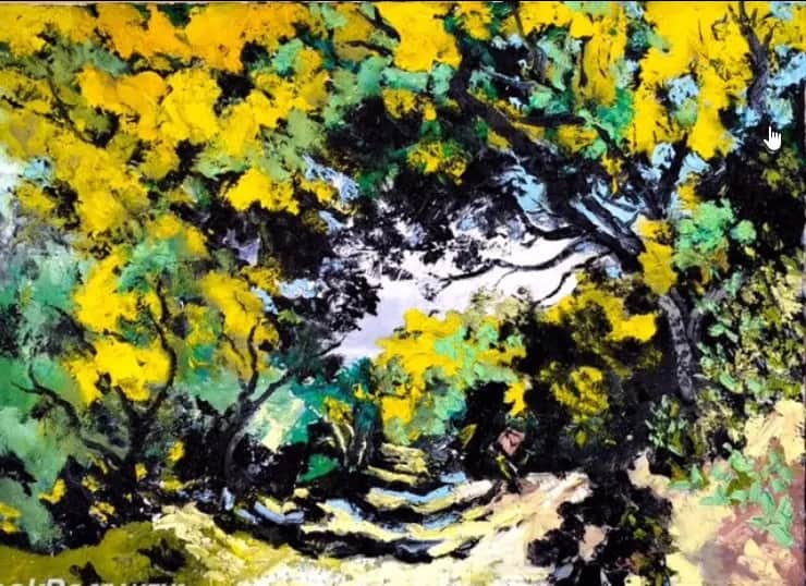 Mimosas du Canadel — Denis Ribas