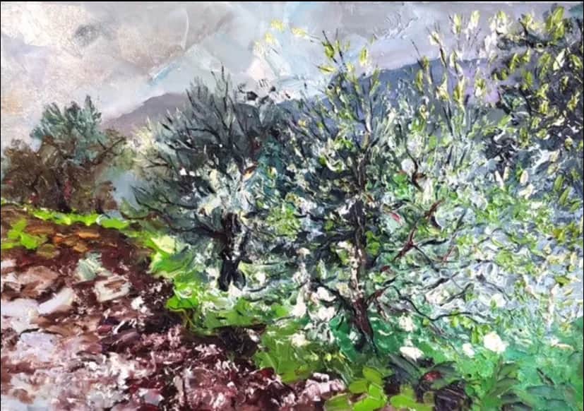 Pluie sur cerisiers en fleurs de Sospel — Denis Ribas