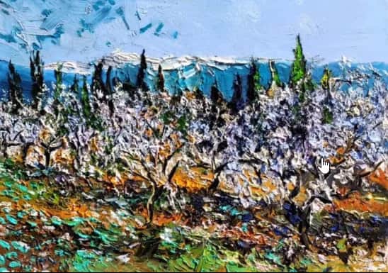 Cerisiers en fleurs du Roussillon — Denis Ribas