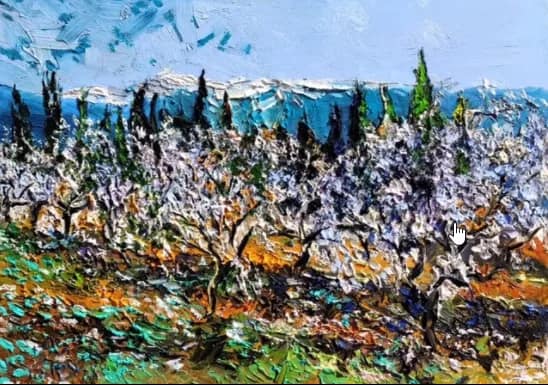 Cerisiers en fleurs du Roussillon