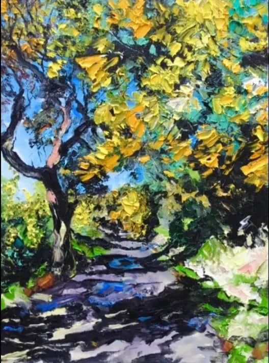 Mimosas en fleurs au Canadel — Denis Ribas
