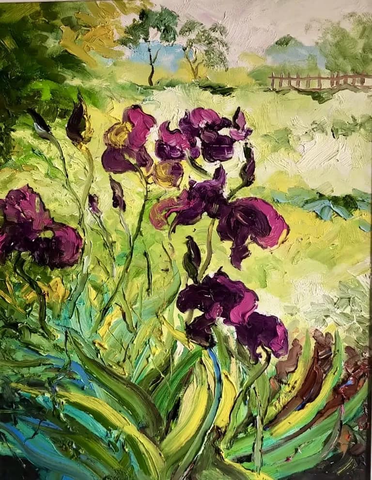 Iris sauvages